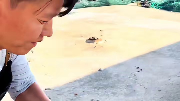 长乐大哥安排活羊现场烤制