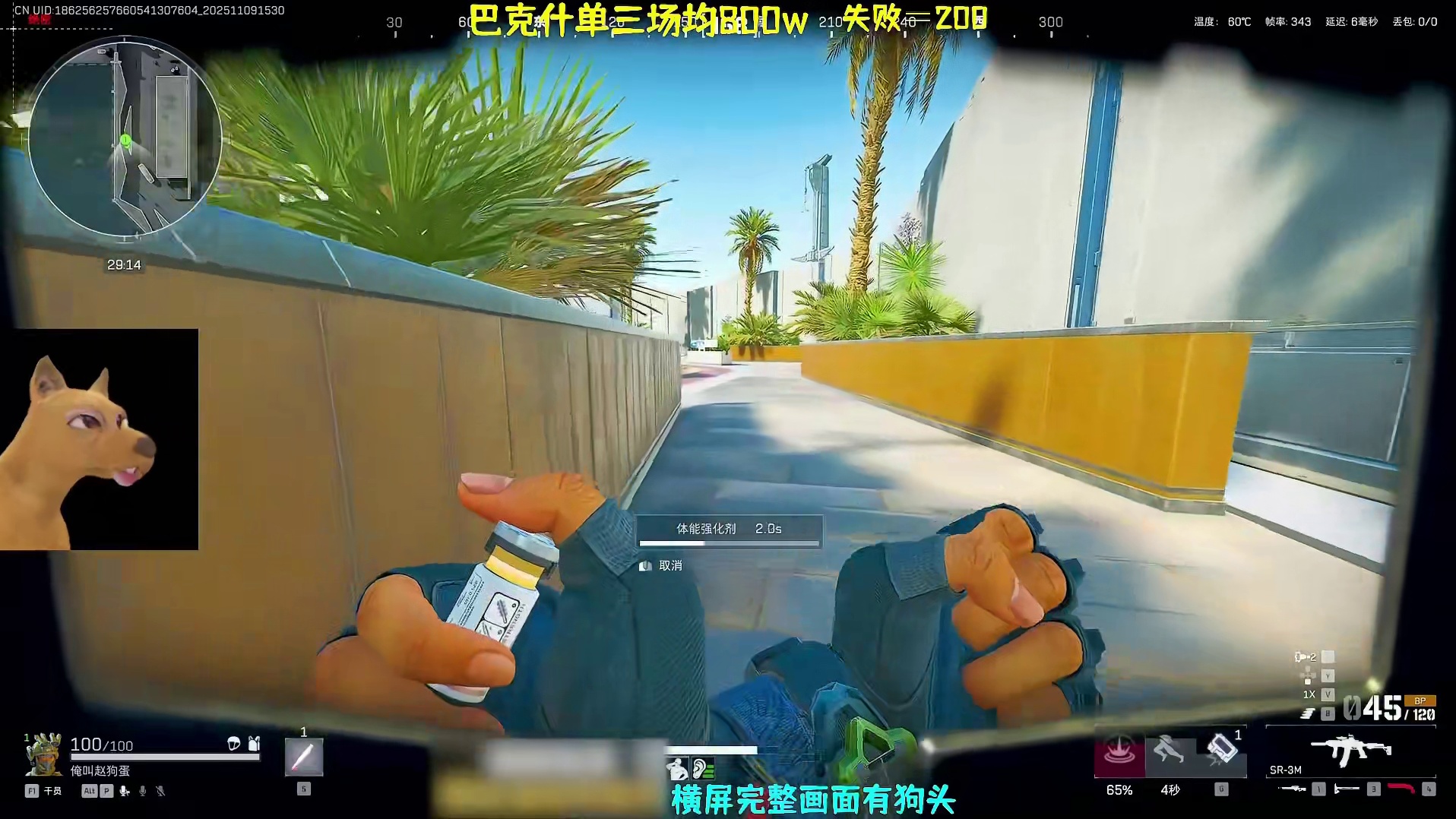 唐人日记之投喂鼠鼠篇