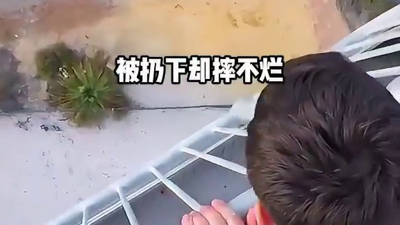 世界最强涂料！西瓜喷上它高空掉落竟摔不烂，是何原理？