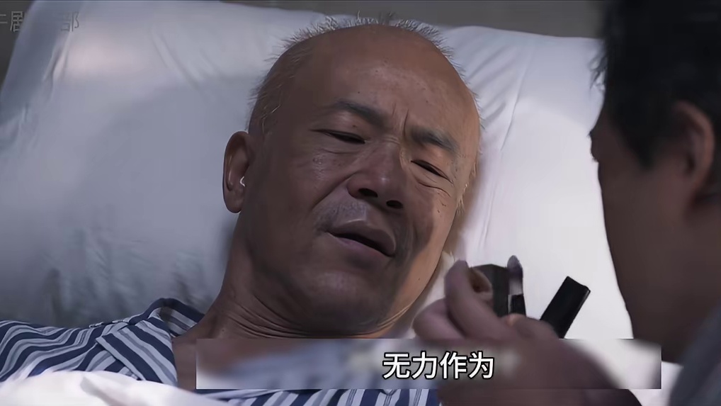 深度解读。树影迷宫大结局