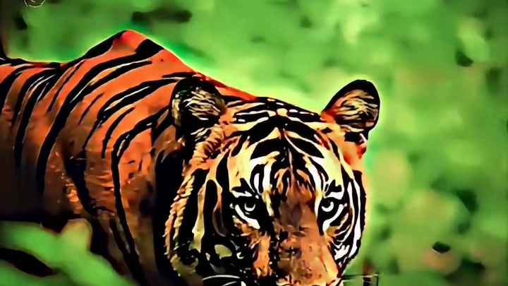 虎行似病 — 鹰立似睡