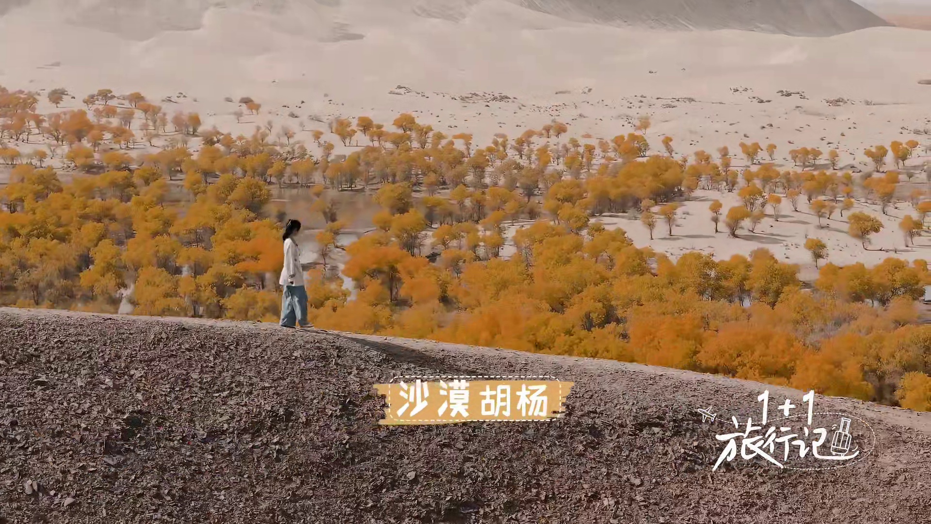 人生必去·季节限定·金色喀什 11月15日17:20 马上出发️