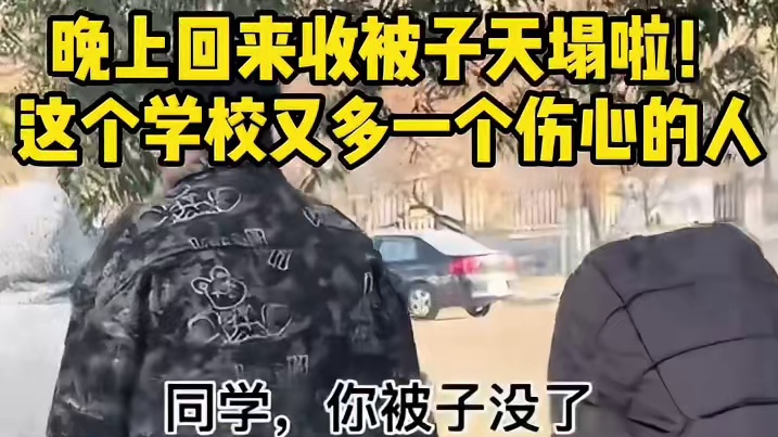小狗把被子偷走啦！