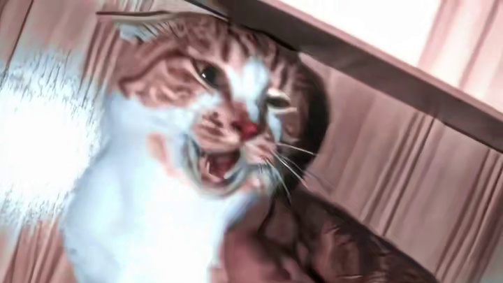 好凶的哈基米！