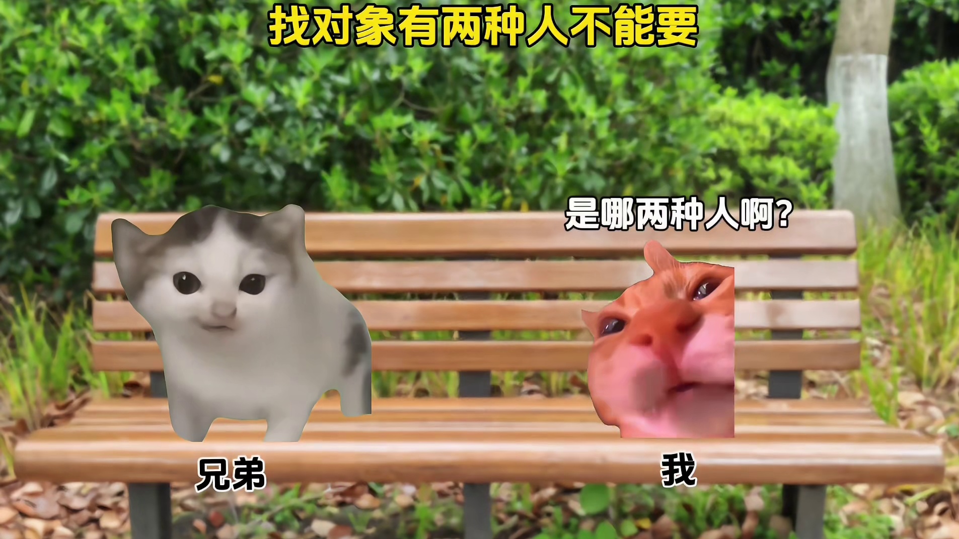 寻觅伴侣时，两类人需避开