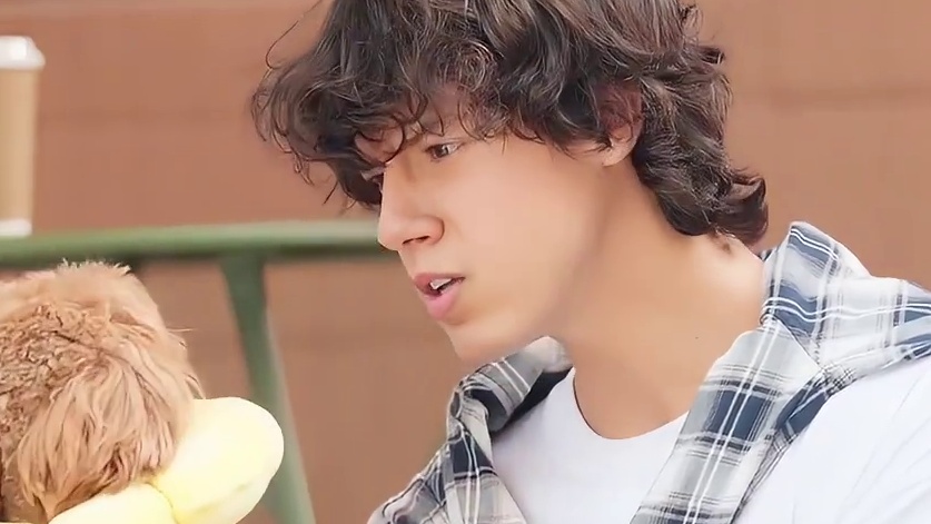 人狗情未了？短剧里狠活好多！