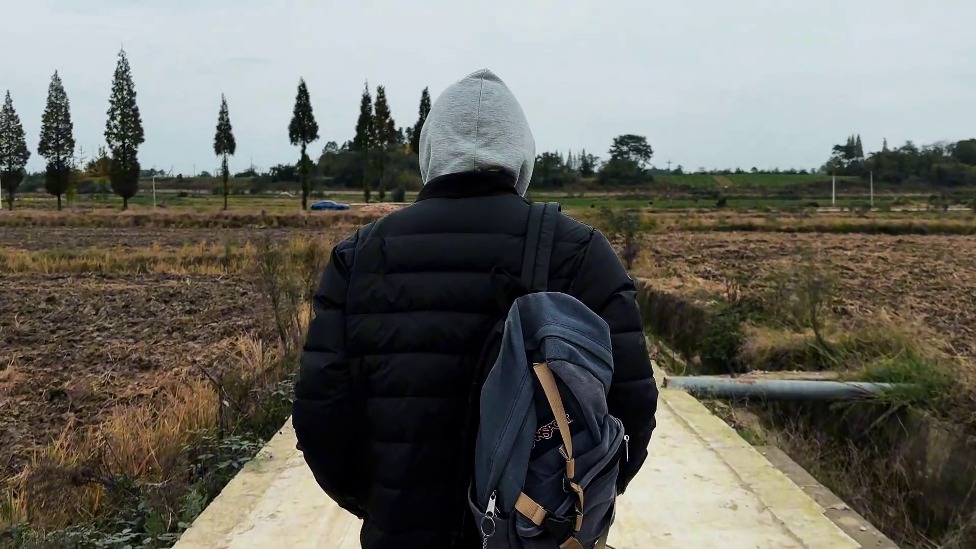 那颗象征永恒爱意的“非洲之心 ”原来我早就拥有过了