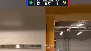 恭喜獵鷹擊敗小蜜蜂進(jìn)入決賽！