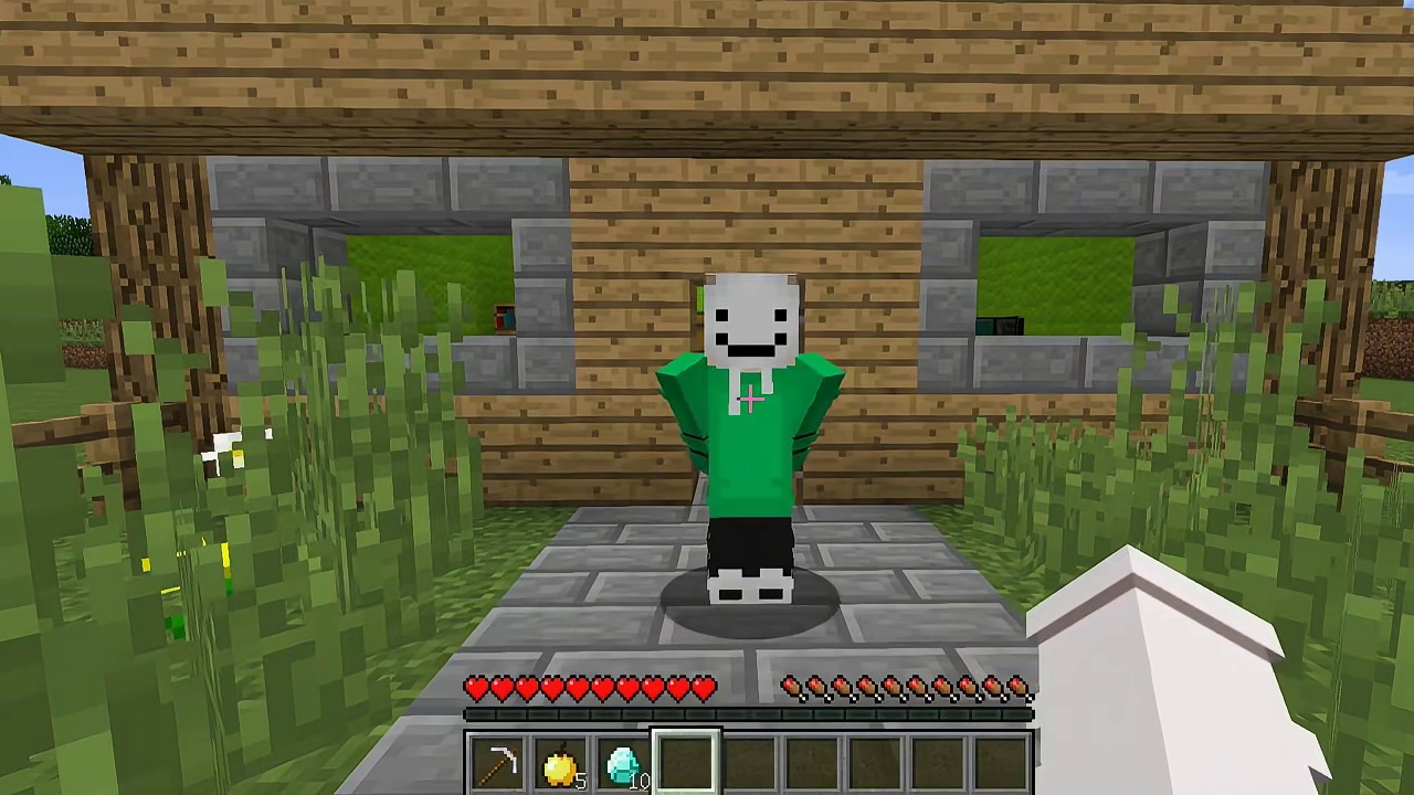 我的世界：新朋友，猪神！