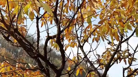 总以为时间过得很慢，可一转眼，又迎来了秋冬