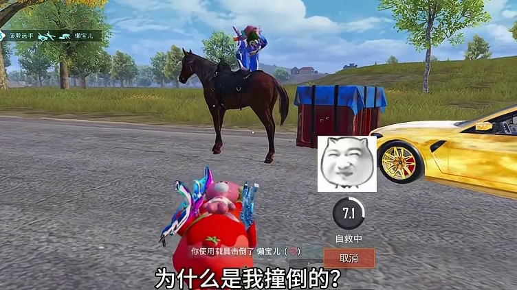 这马什么情况，怎么自己会撞人，还显示是我撞的，奇了怪了！ #和平精英 #和平精英创乐激战