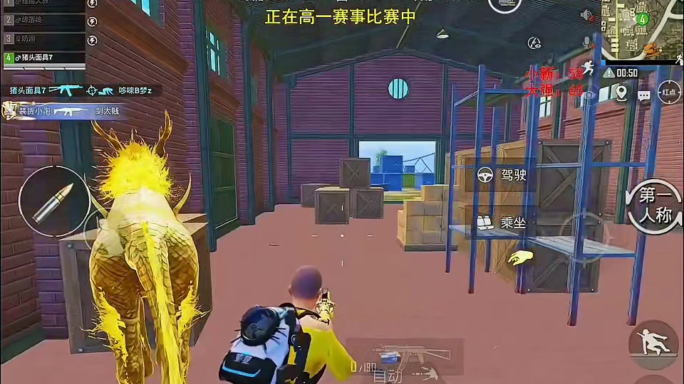 小新在四海岛单排击倒29人，最终决赛圈被围错失冠军。