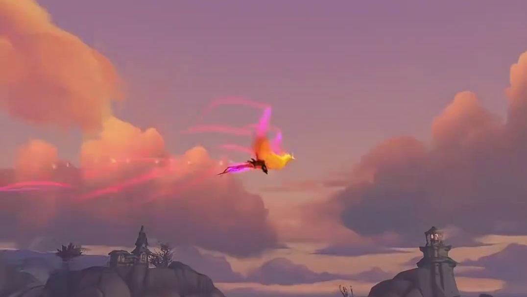 什么？凤凰能当宠物了？