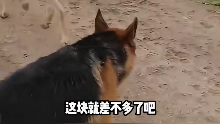 亲戚更不好说话