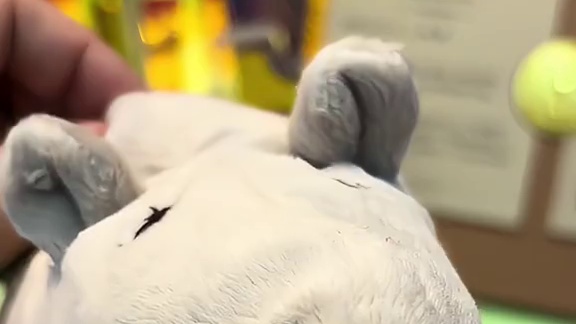 紧急通知️ 明晚8点开播，9号盲盒不要跑错哦