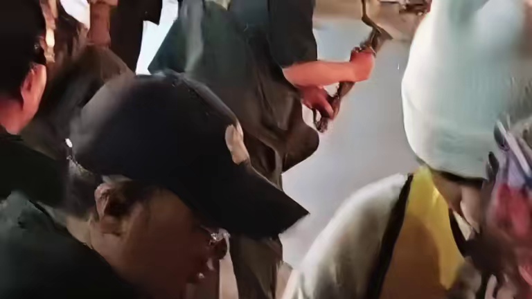 吴勇豪昆明活动