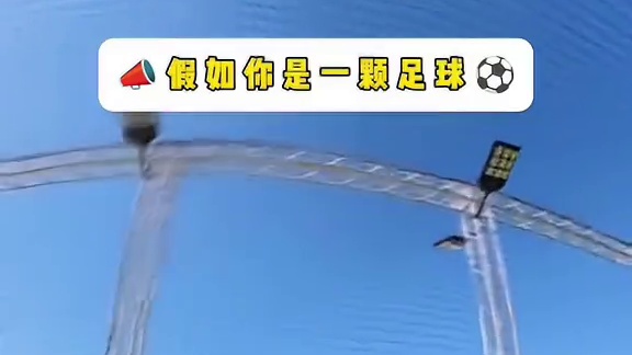 假如你变成了一颗足球