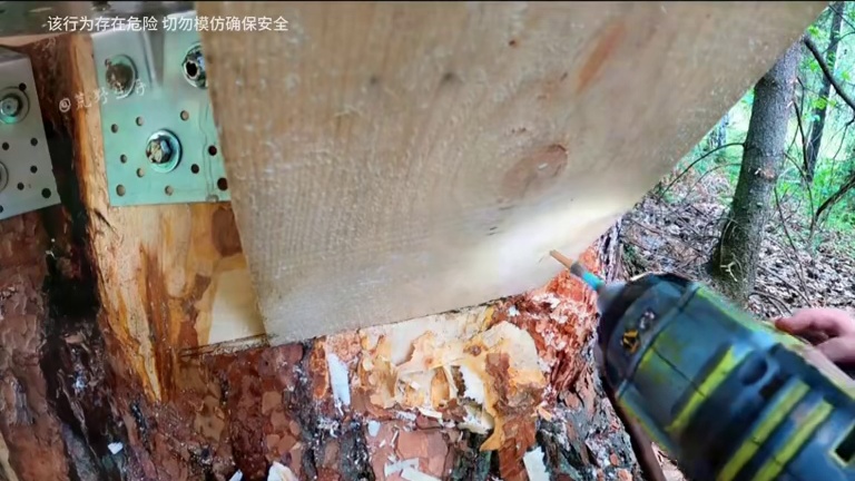 这样的树屋才是艺术品，因为他坐落在巨大的古树之上！