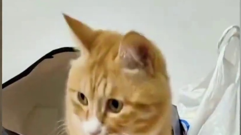 你家彩礼收了，酒席办了，咱们证都领了