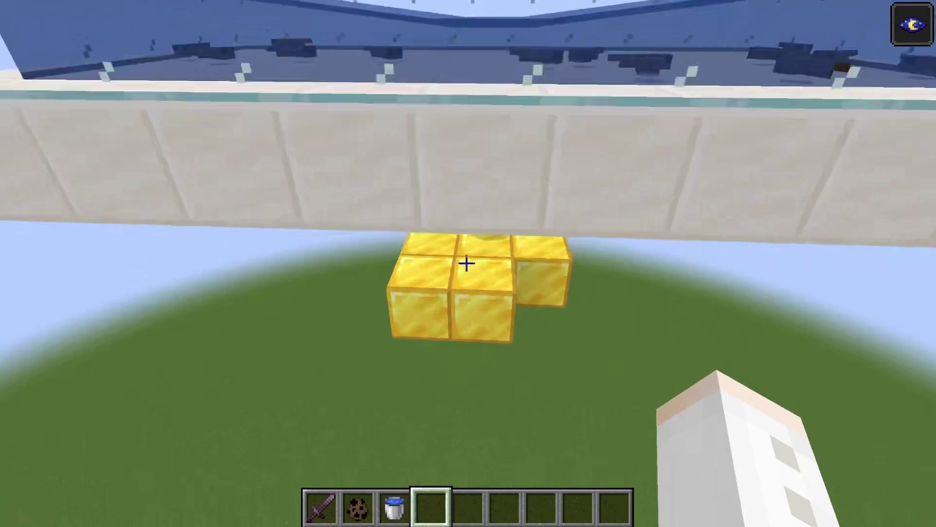 MC猜猜我的头上是什么生物呢？！我的世界