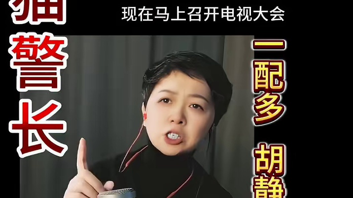 《黑猫警长》 是由上海美术电影制片厂根据诸志祥同名小说改编的5集动画片。获中国儿童少年电影金牛奖，中