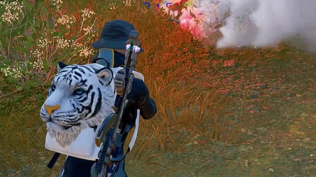 “给老实人借网”