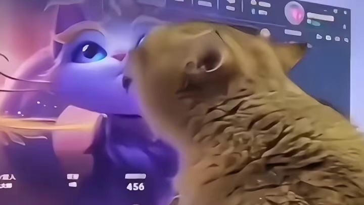 放弃吧，那是你永远都得不到的喵