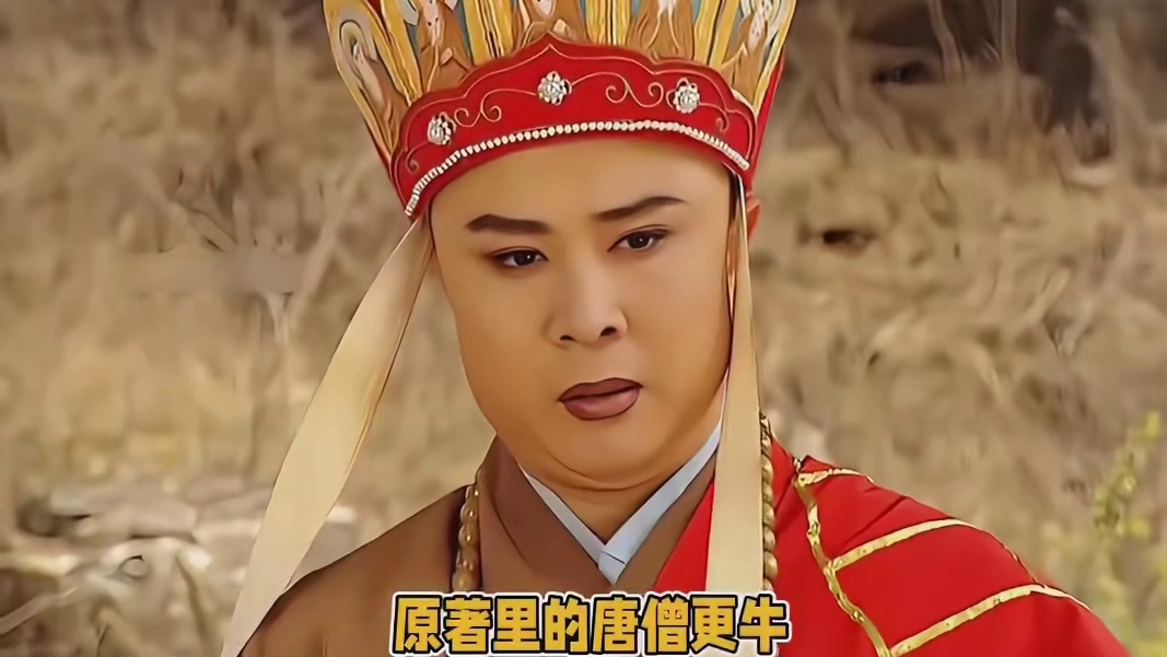 想骂唐僧是因为你看电视剧了，要是看原著你就想打他了