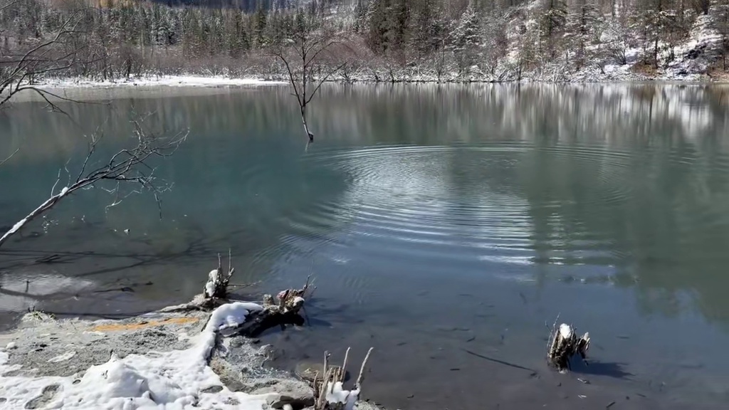 心平能愈三千疾