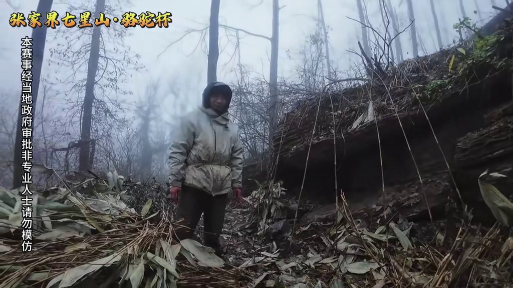 是荒野，也是无限 第二届中国张家界“七星山·骆驼杯”极限荒野挑战赛，第四十天