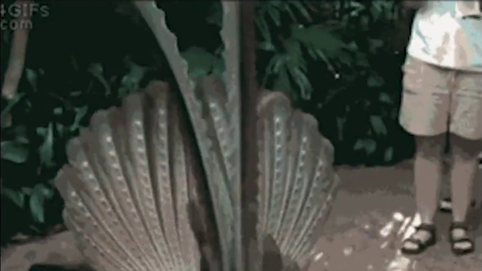 恨不得抽三角洲陀螺让他们抓紧干活