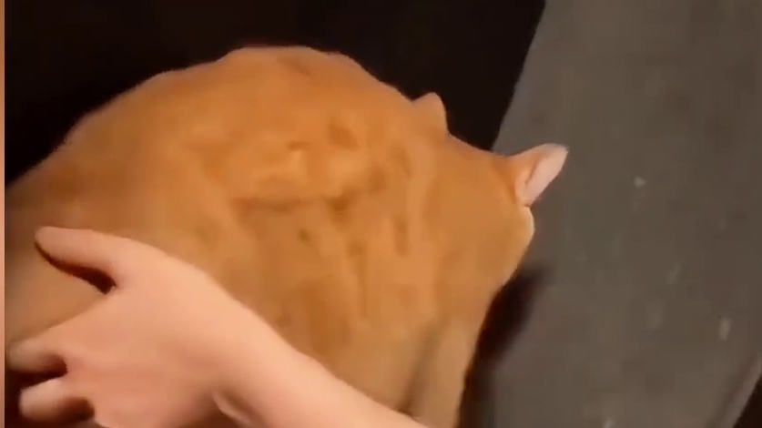 你看今天晚上你能不能睡好觉就得了！