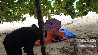 拿著真理，看著小黑摘椰子趣事?。?！