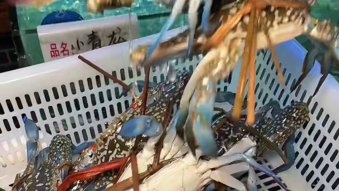 在北海！！毫不起眼却好好吃的小破店！！