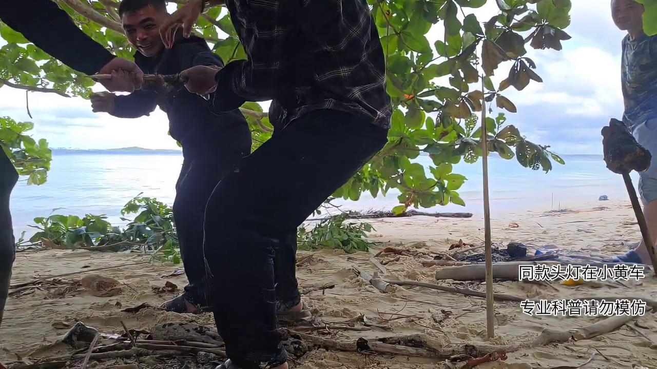 因为食物引发的争抢！！！