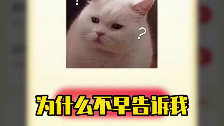 好朋友今天终于把焚决交出来了