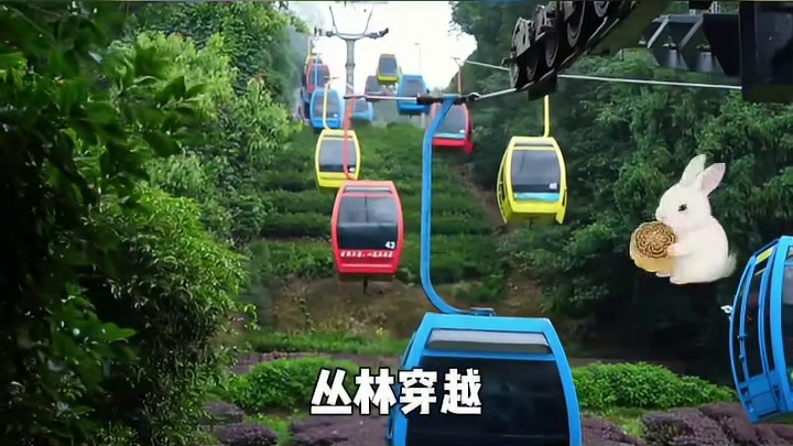 11月20日早上9:00蒙顶山大场直播间不见不散！！！