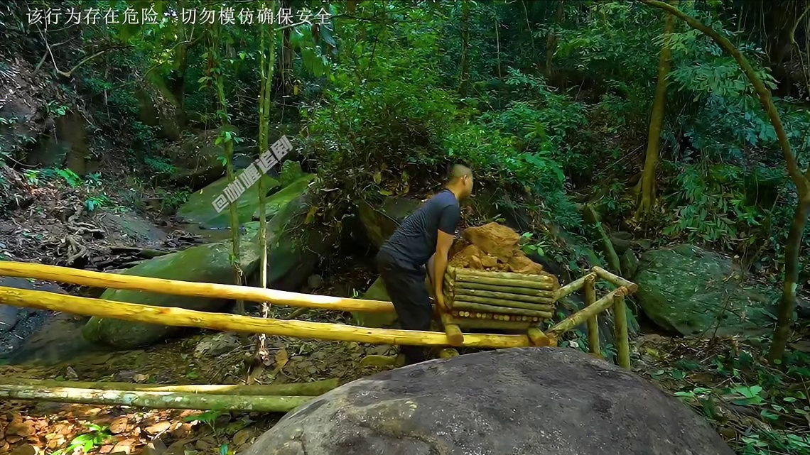 男人挖空千年古树，在里面搭建出几十平的豪华树屋