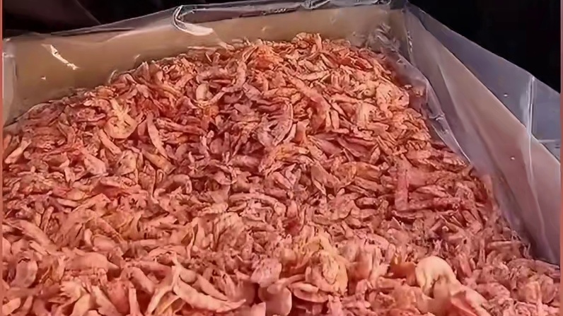 这是发生在海面上十分离奇的一幕……