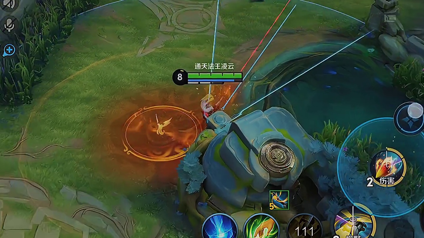 差点把芈月举报了