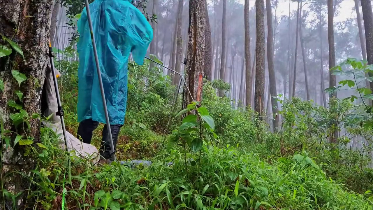 ️暴雨和雷暴袭击了我的营地，帐篷被淋透，露营变成求生之旅