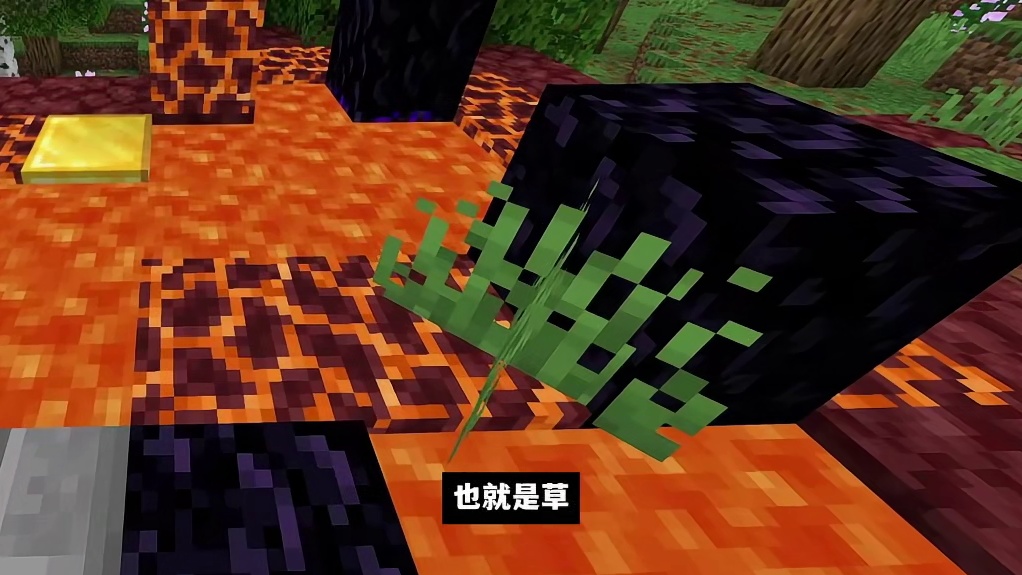 我的世界：你可能在任何地方看到林地府邸，甚至是在沙漠里！