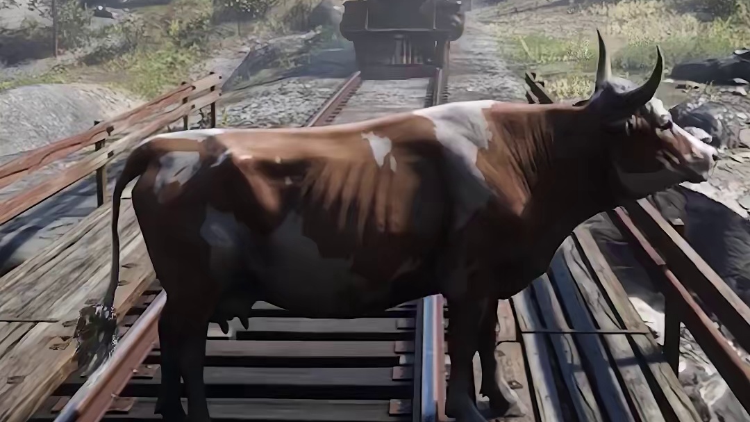 火车撞牛