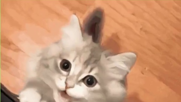 除了实现了我的短剧自由还让我实现喝奶茶的愿望