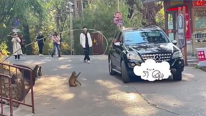 猴哥：没想到这么扣呢？