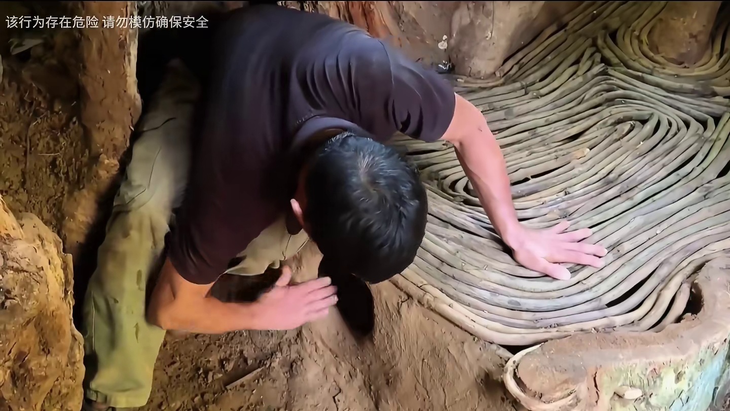 这是我见过最奇幻且安全的庇护所，它深藏在巨大的古树之内！