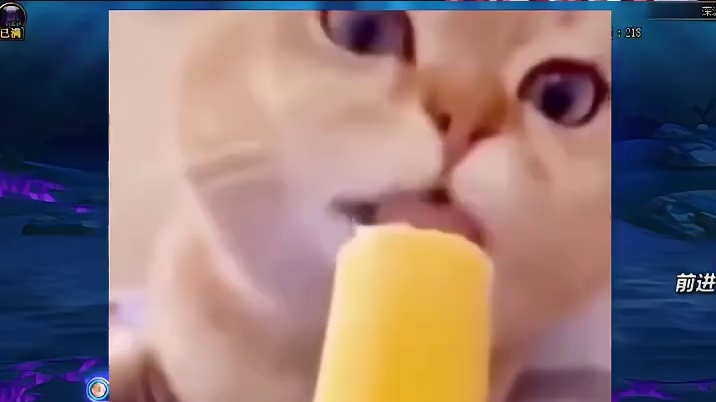 盘点一下DNF这些年联动过的ip，哪个是你最喜欢的？