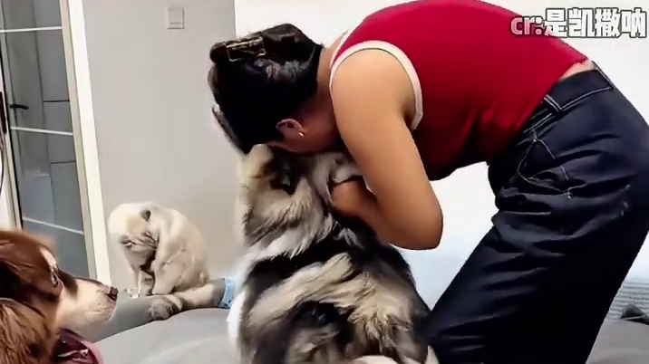 日子怎么可能跟谁过都一样