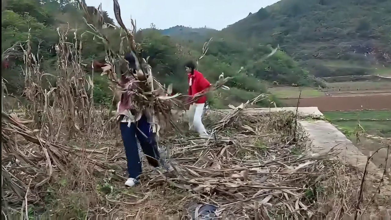 艺涵专业，没少干活。