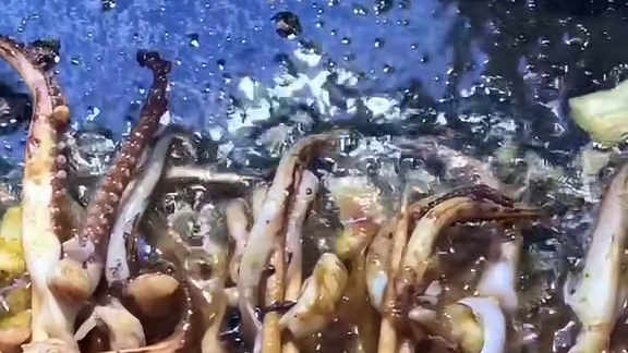 成都街头的特色小吃又香又辣